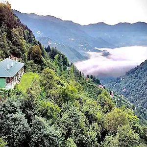 شاليه Mountain House-uzunlu, ترابزون